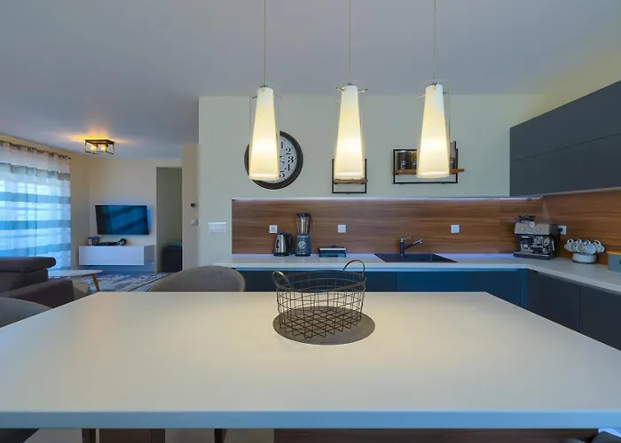 Brand New Excellence * 풀라